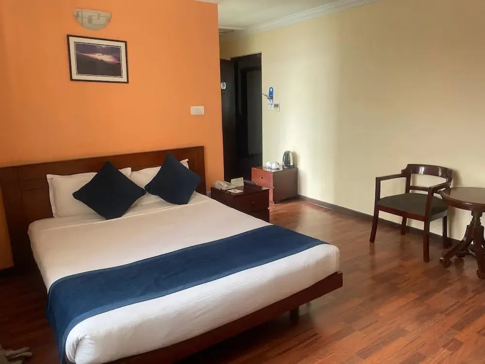Deluxe Double room with city view (full double bed)