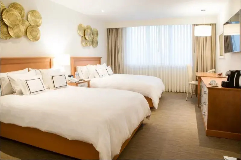 Deluxe Double room (twin beds)