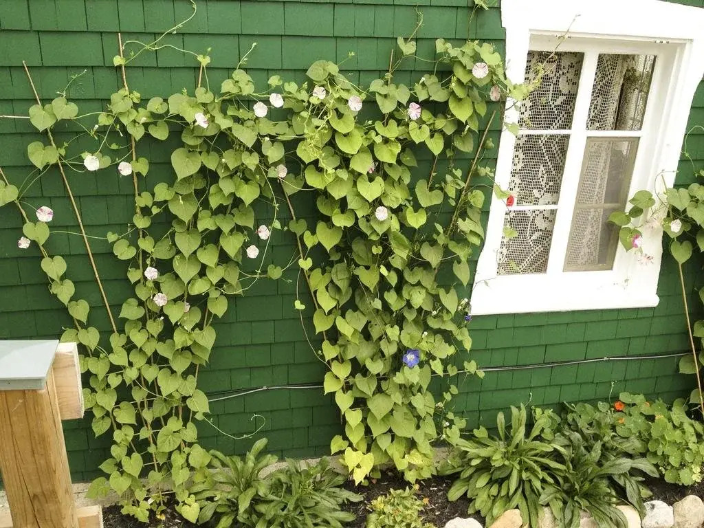 Gite La Bougie Verte