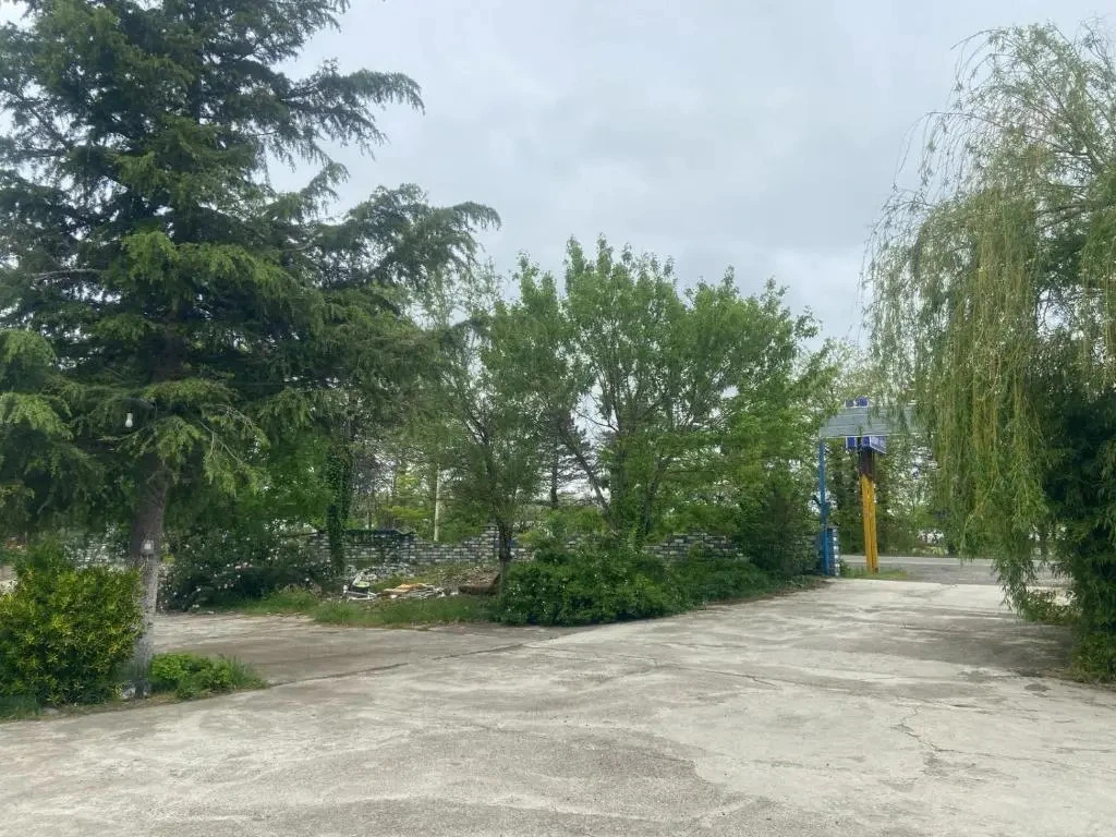 kopitnari — 2