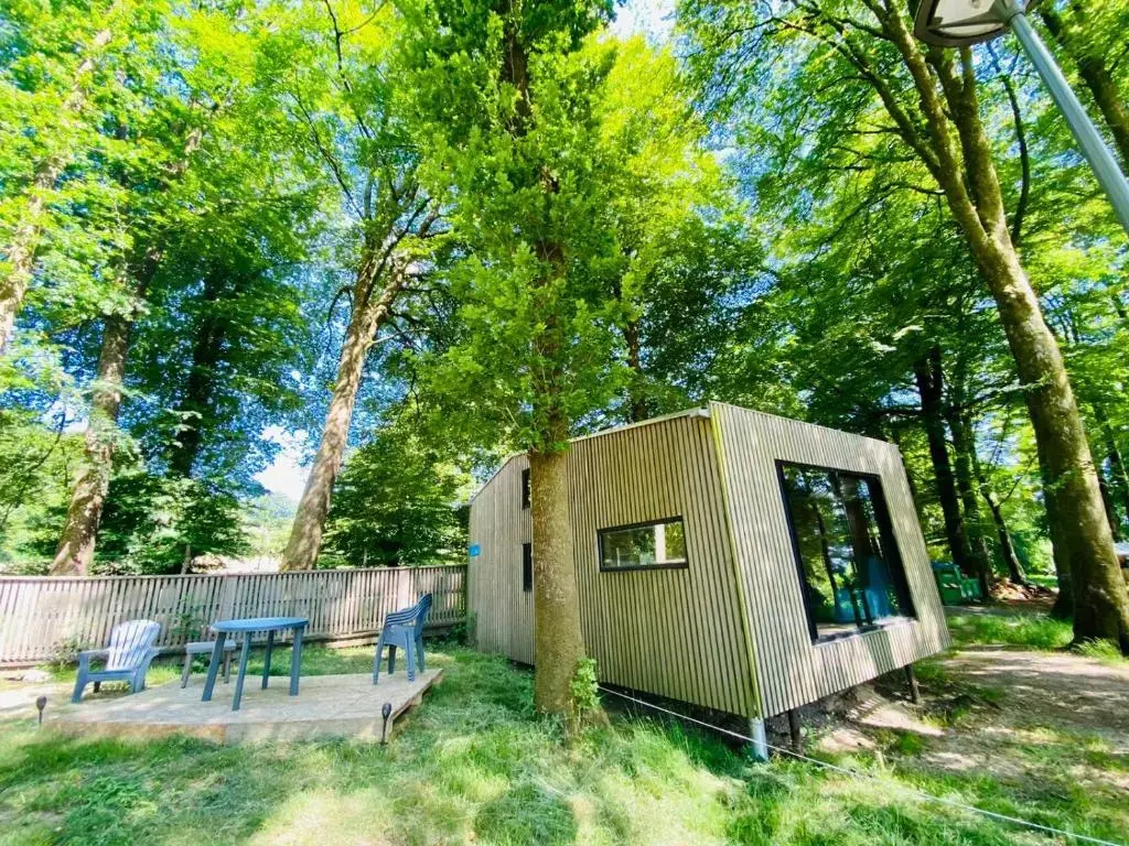 Afficher la photo 6 — Etape en forêt