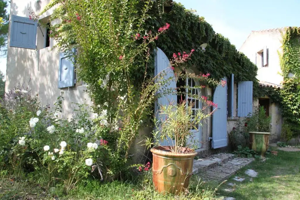 Le Mas des Pins - Chambres
