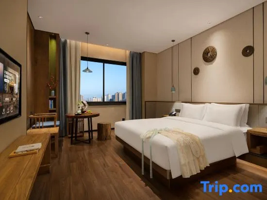 Standard Double room with city view (full double bed)