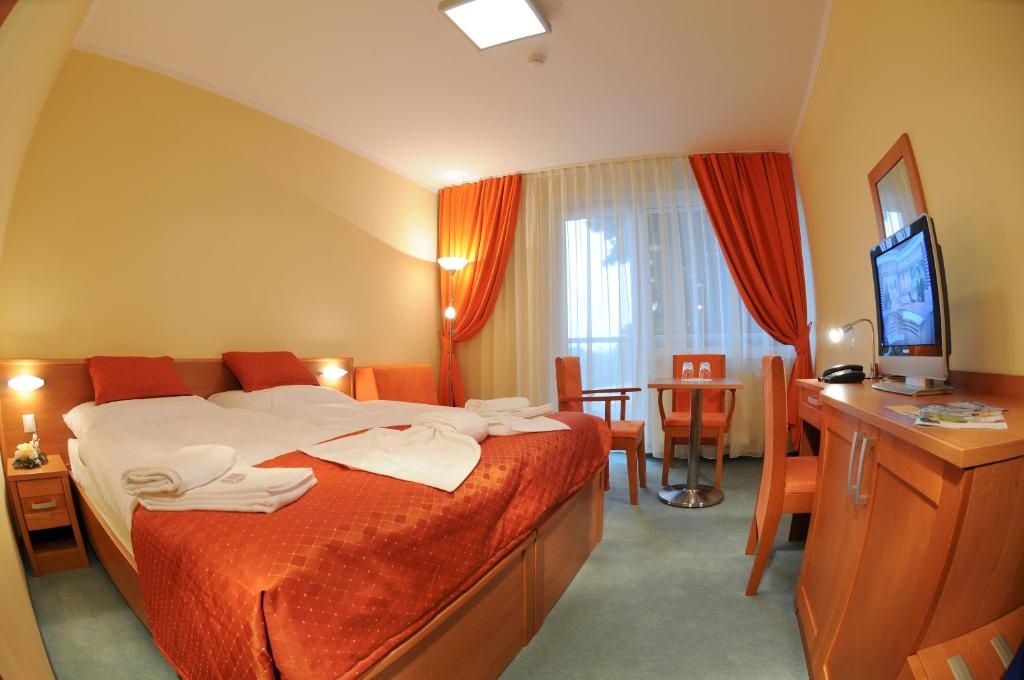 Standard Double room (full double bed)