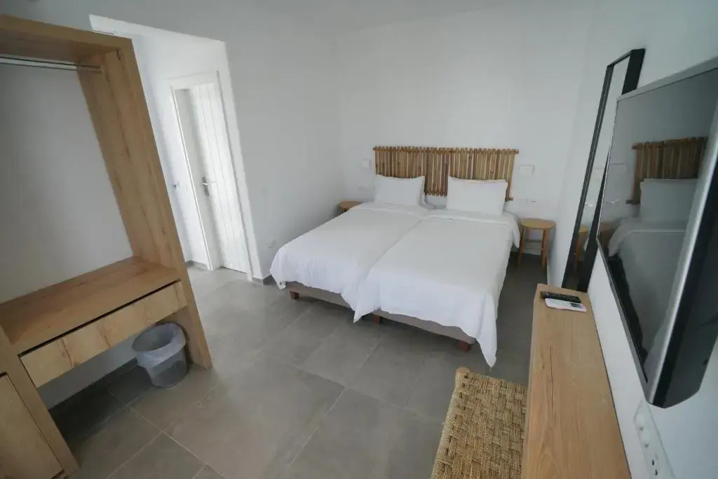 Standard Double room (twin beds)