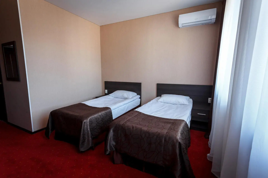Standard Double room (twin beds)