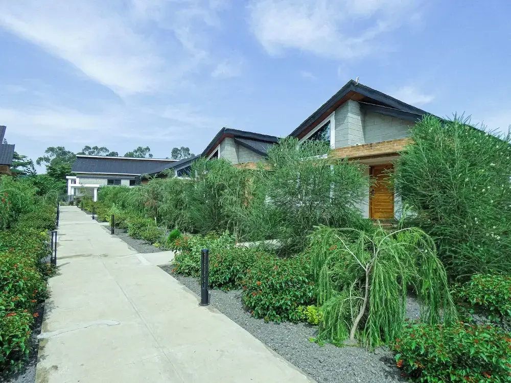 Hotel photo 12