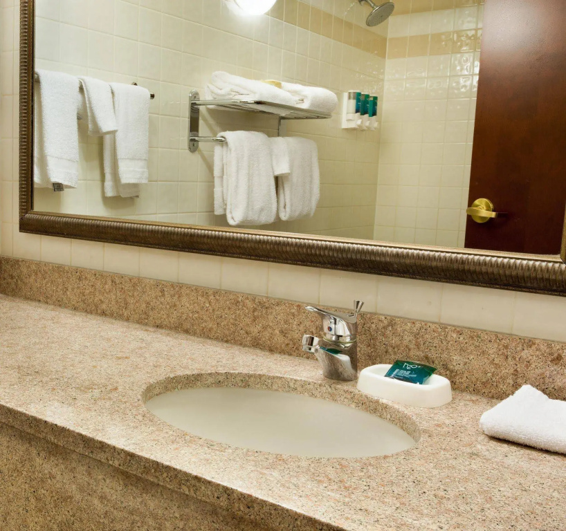 Drury Plaza Hotel St. Louis Creve Coeur - Général