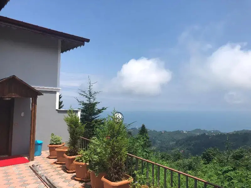 Standard Villa