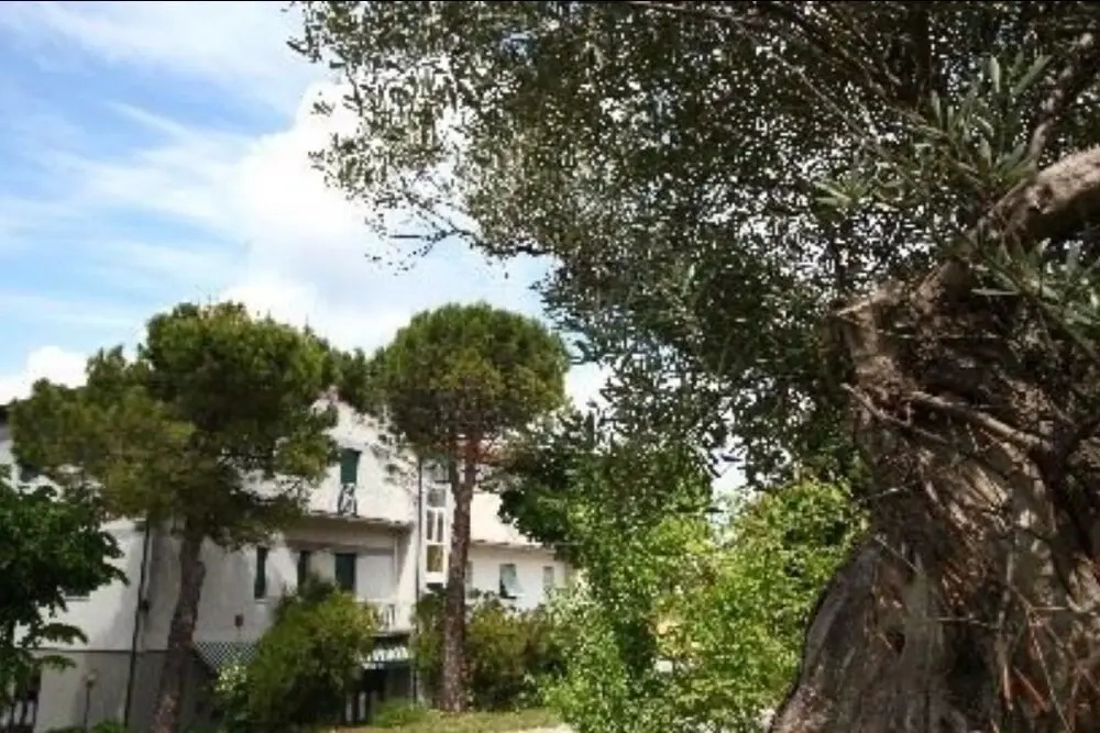 Albergo La Pineta