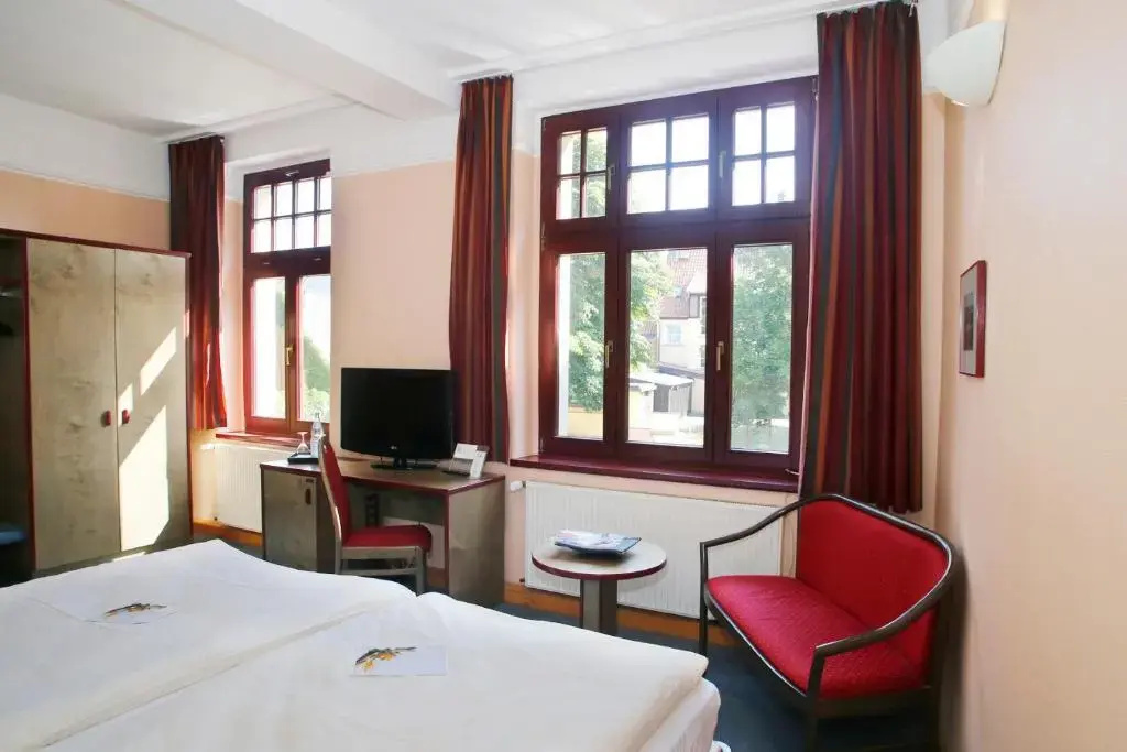 Standard Double room (full double bed)