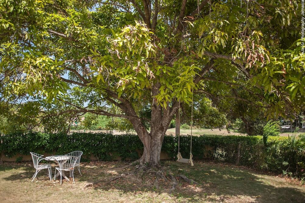 Paradise Ambiance Villa