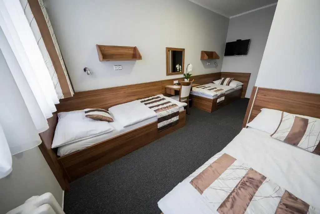 Hotel u Ledu - Chambres
