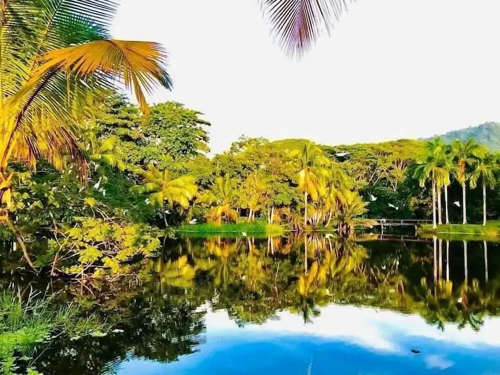 Los Delfines Golf & Country Club - фото 11