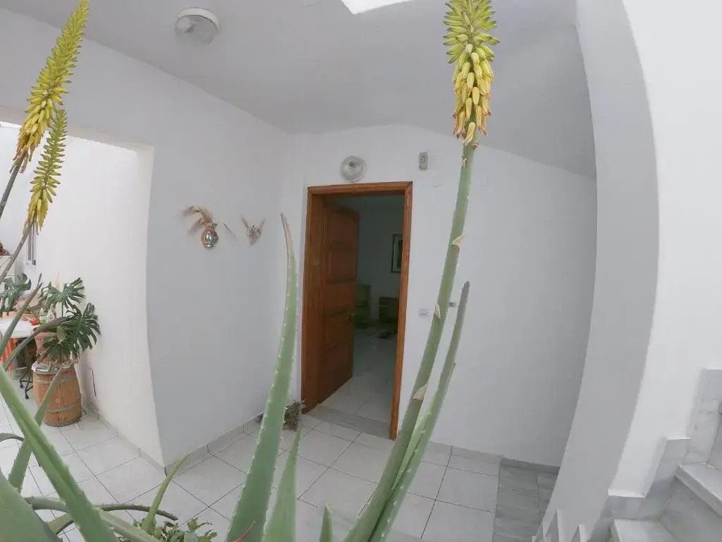 KOS Family House