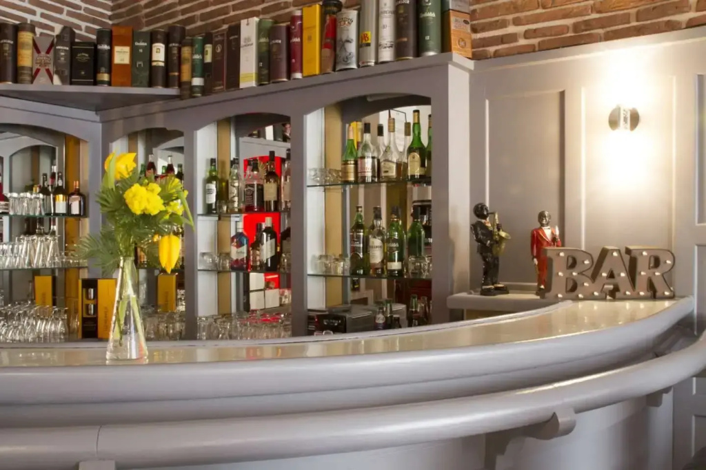 Brit Hotel Roanne - Le Grand Hotel - Général