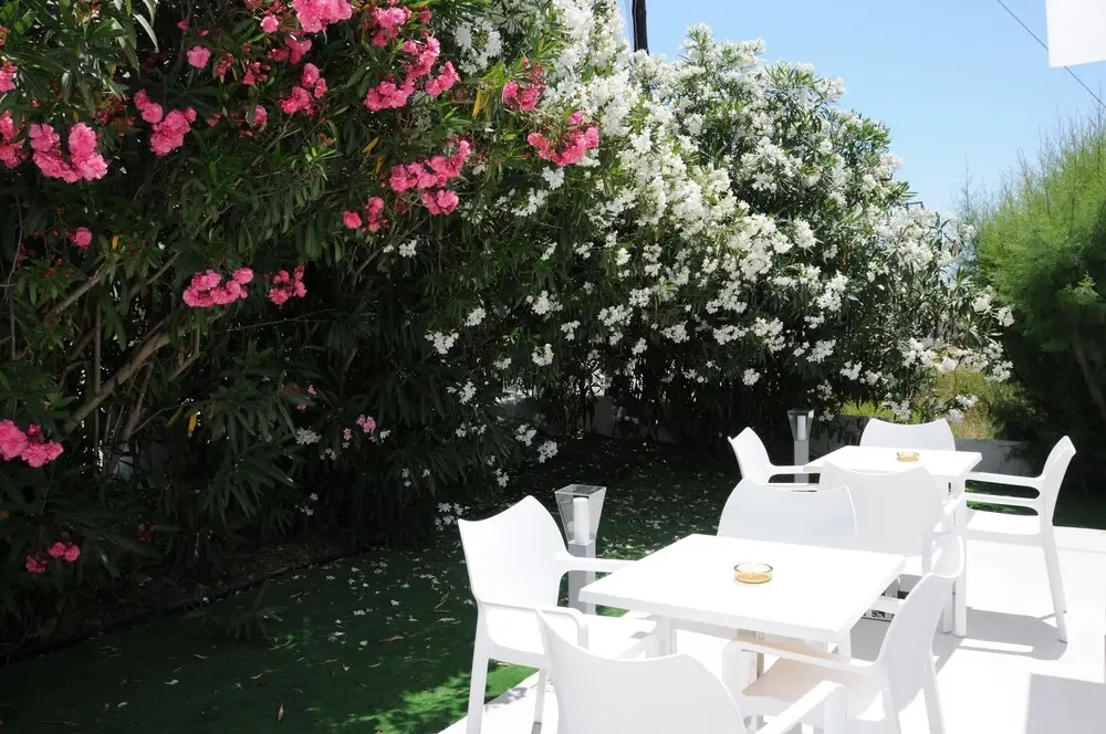 Balcony & Terrace
