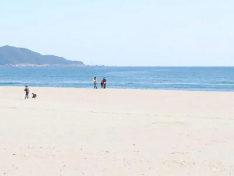 Beach & Waterfront