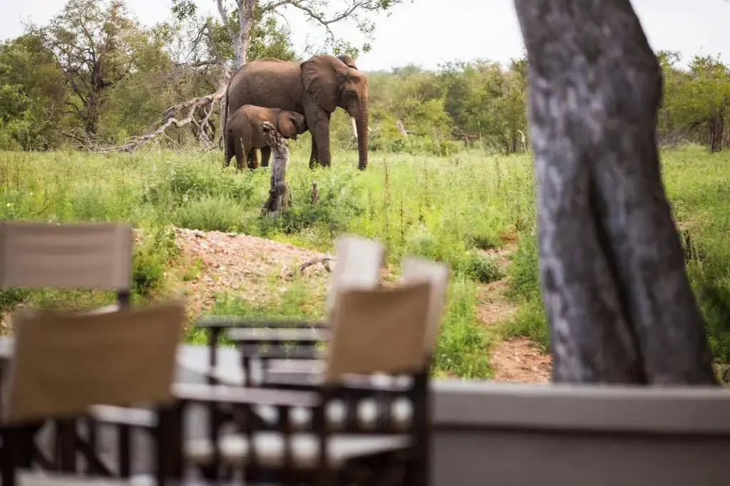 Amani Safari Camp