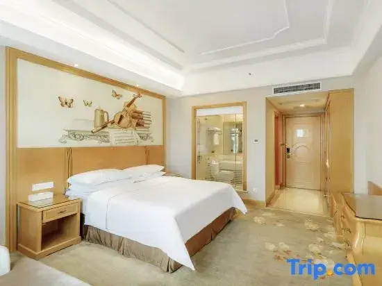 Vienna International Hotel Changsha Gaoqiao Branch - Chambres