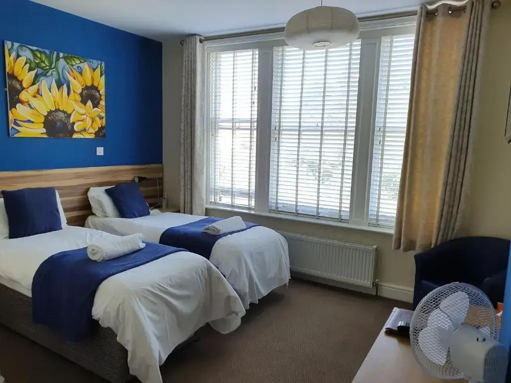 Superior Double room with city view (twin beds)