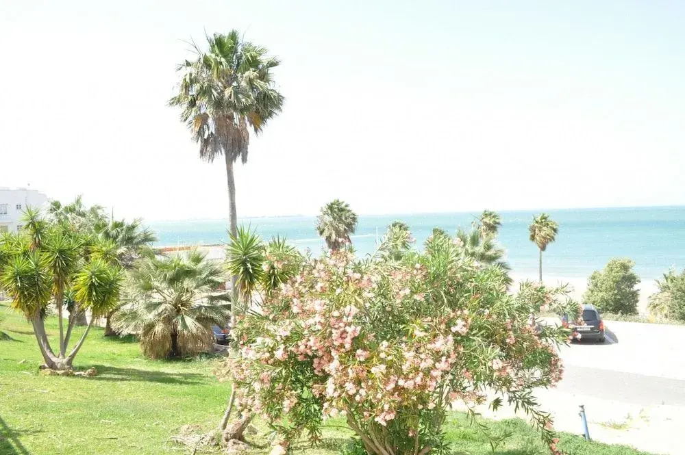La Goleta