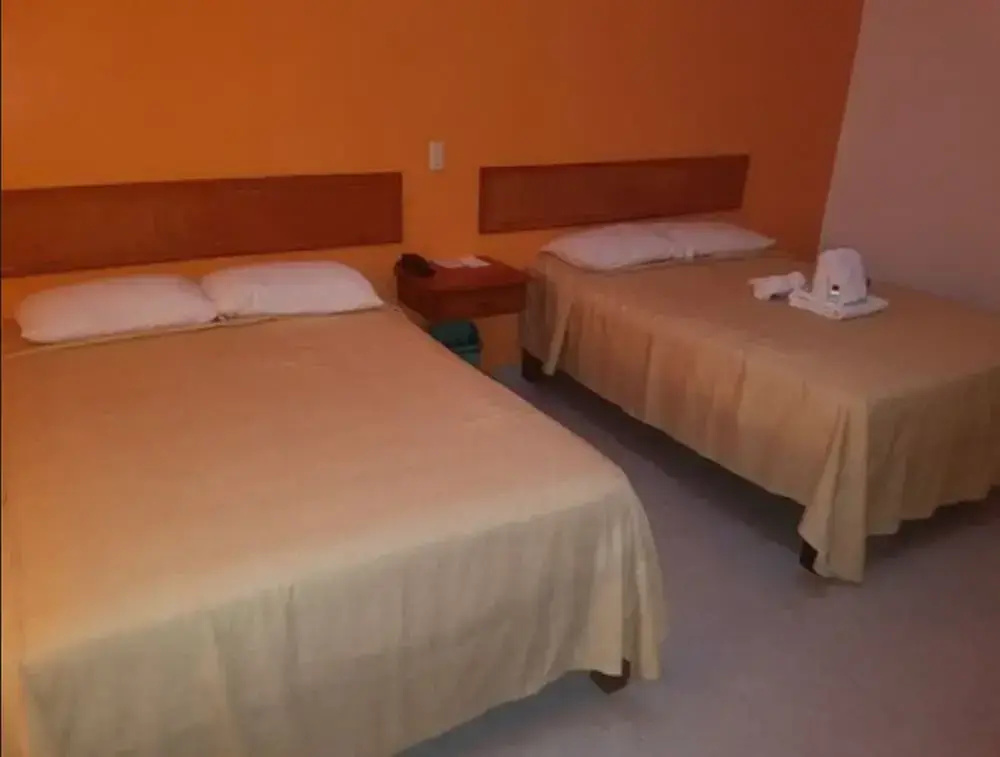 Hotel Arcos del Parque - Chambres