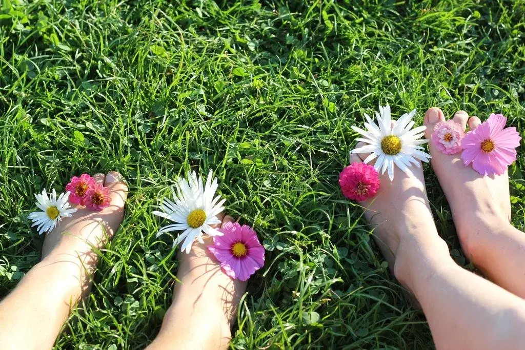 Bio Ferienbauernhof Greber