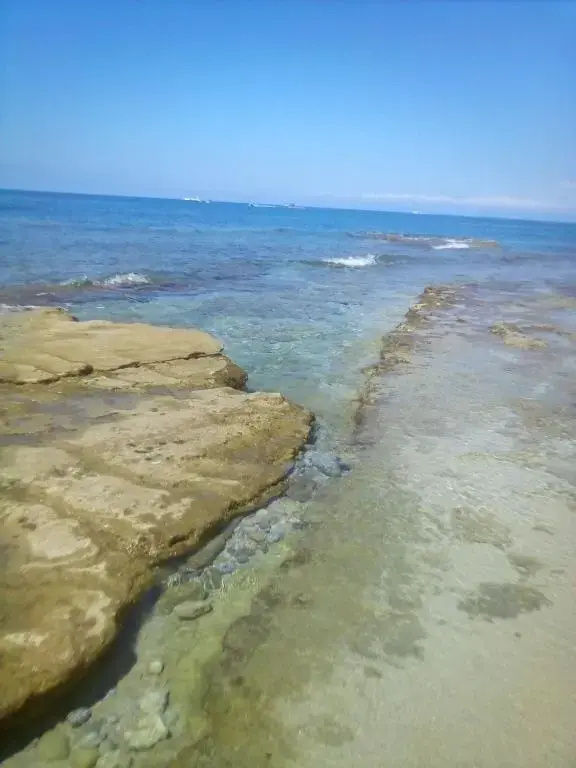 Beach & Waterfront