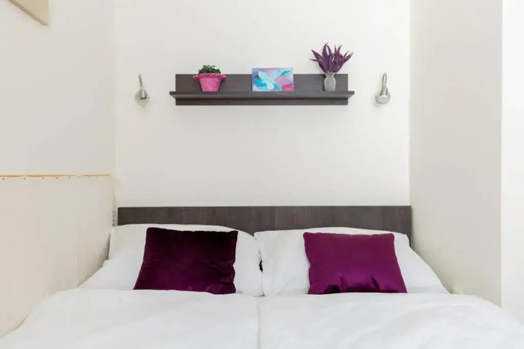 Luxury apartment in the city center