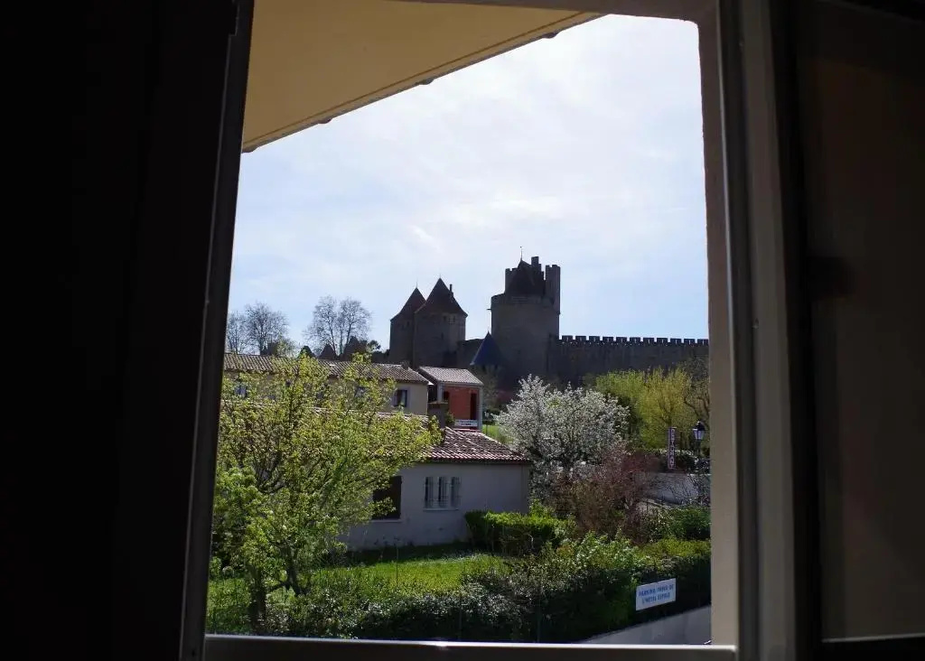 Standard Double room with city view (twin beds)