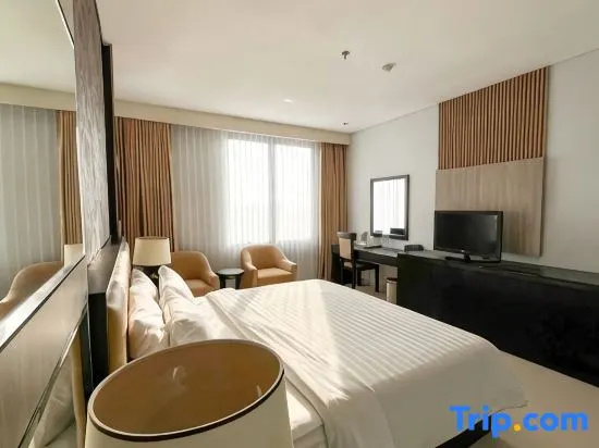 Executive Double room (full double bed)