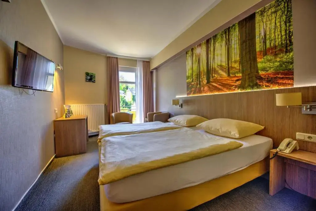 Standard Double room with balcony full double bed