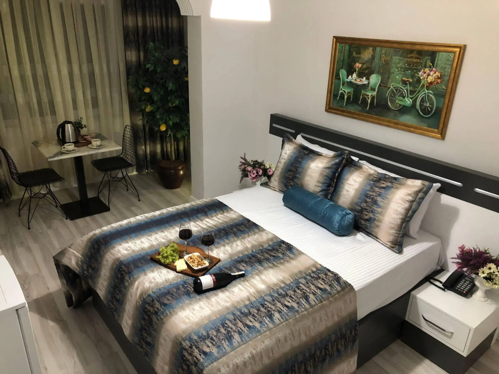 Отель Istanbul Hotel & Suites в Стамбуле
