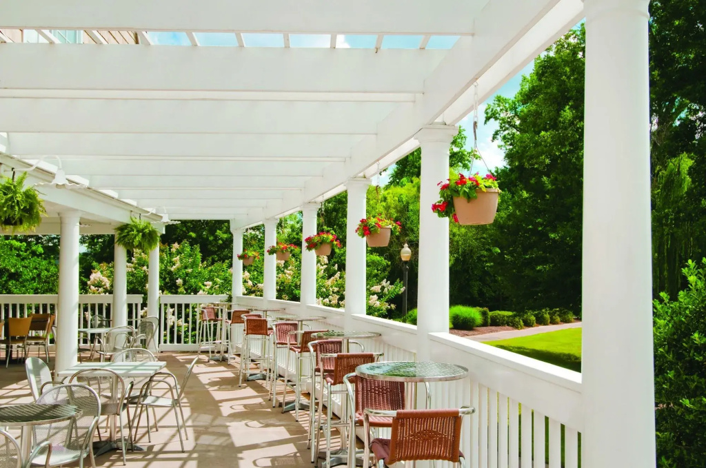Balcony & Terrace