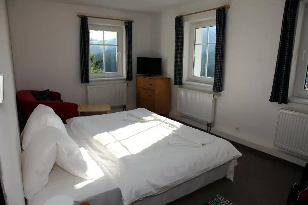 Penzion Pod Lesem - Chambres