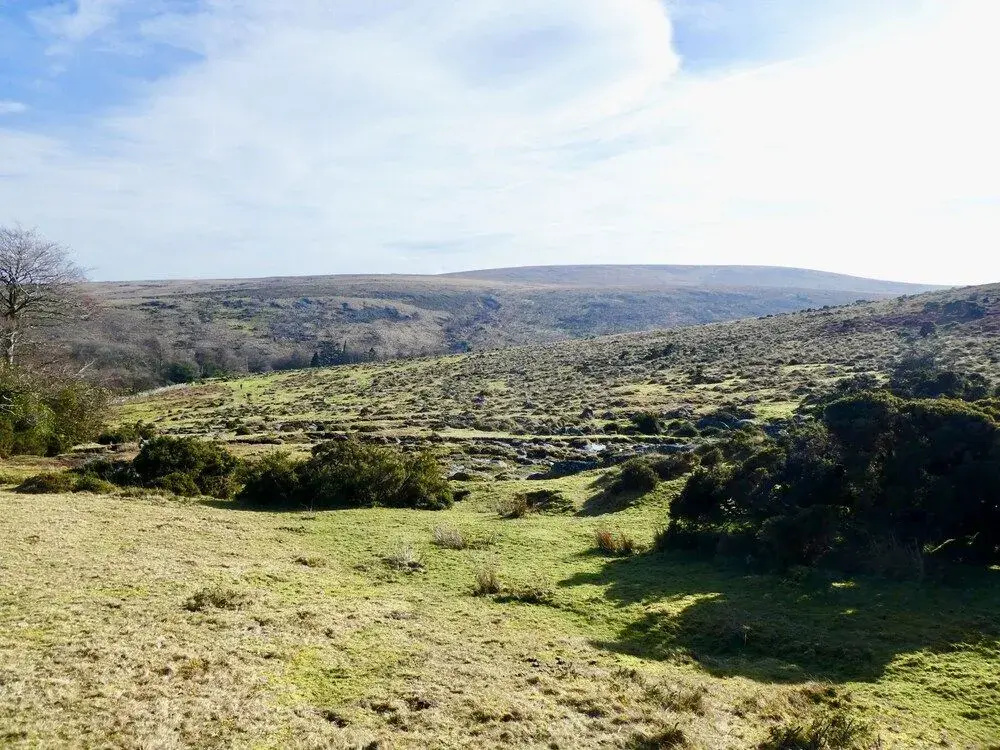 Dartmoor House B&B - фото 10