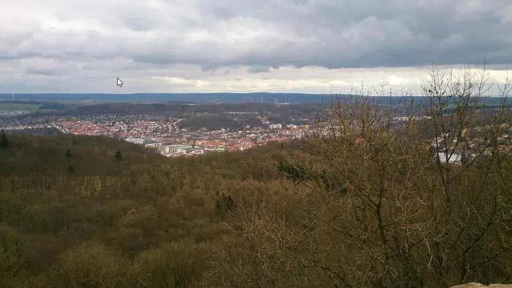 Image 11