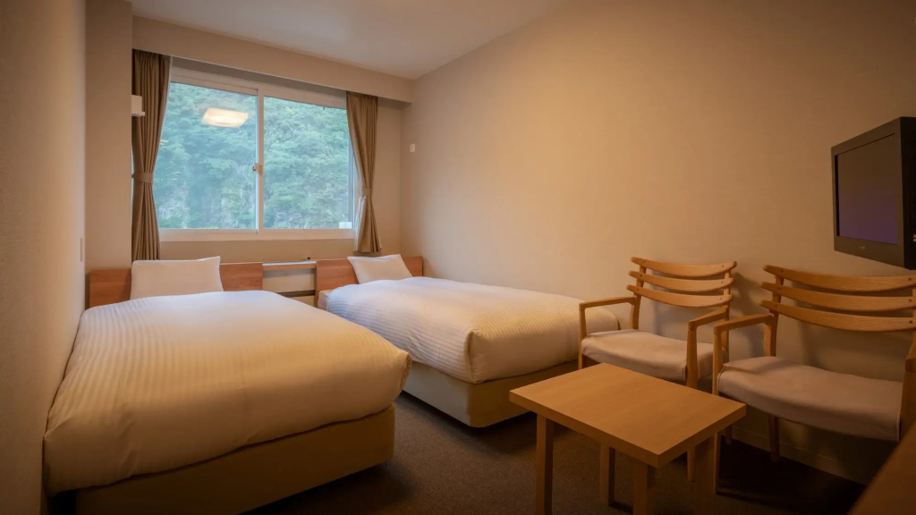Standard Double room (twin beds)