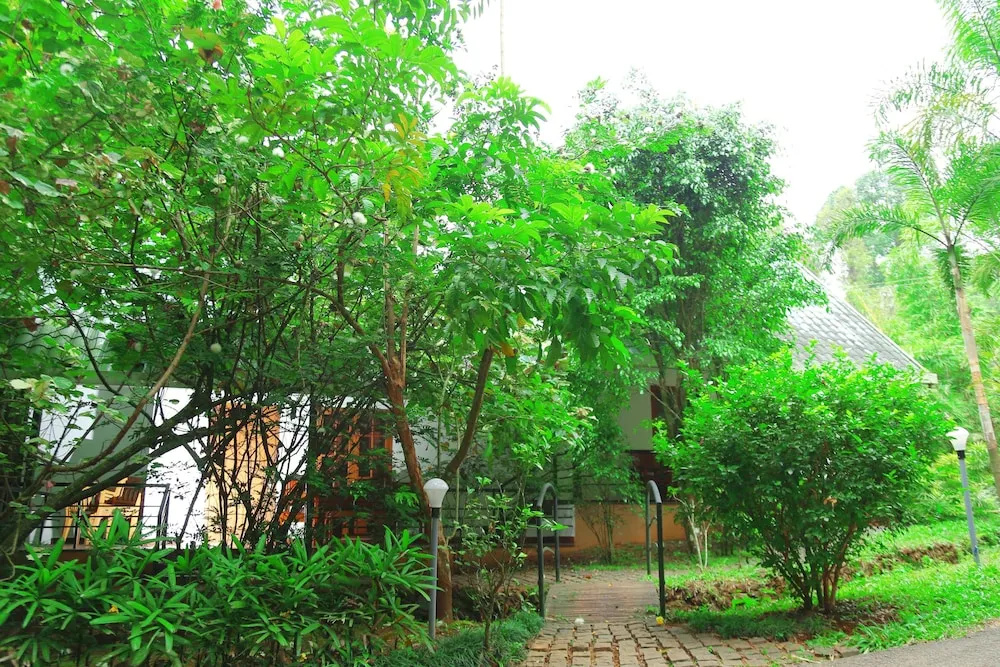 Vythiri Greens Resort - Chambres