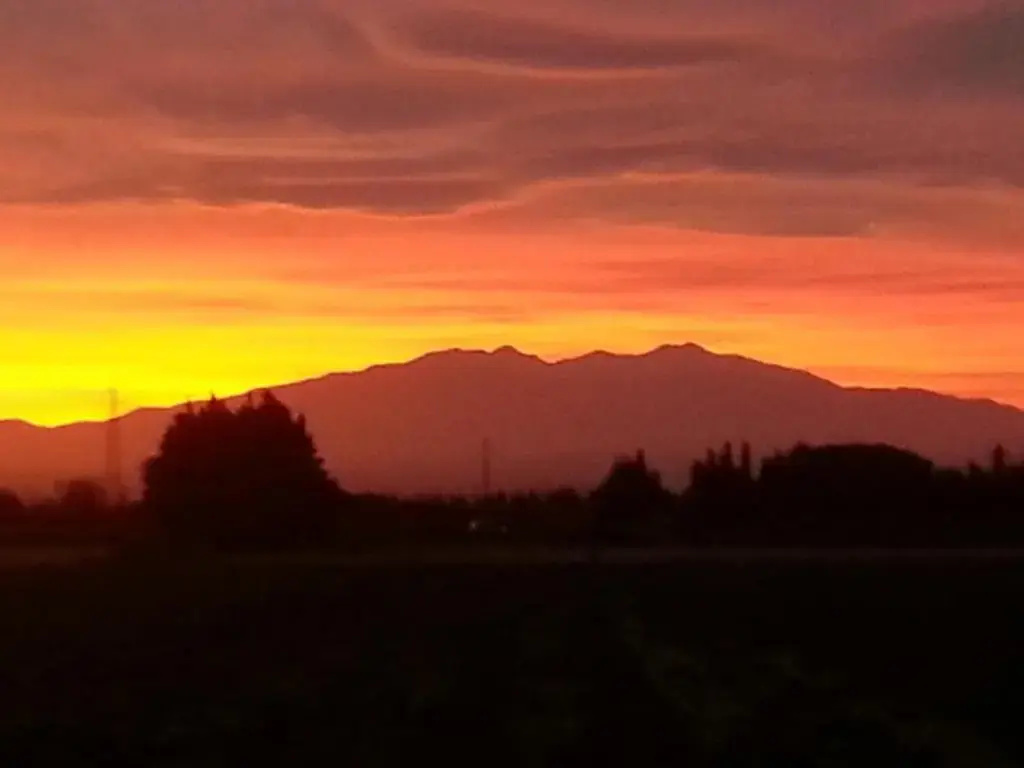 Voir la photo 4 — Domaine Mas Bazan