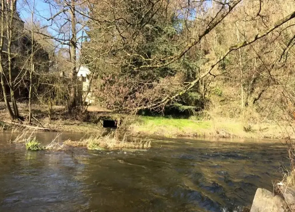 Rustic Estate With Sauna - фото 3