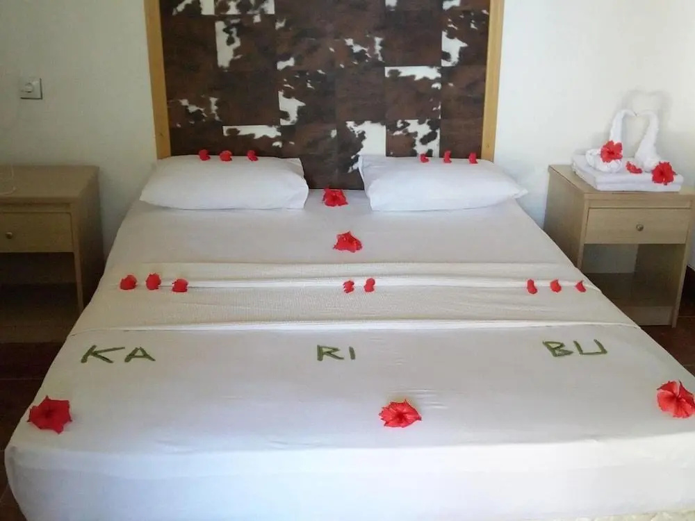 Pasha Nungwi Hotel