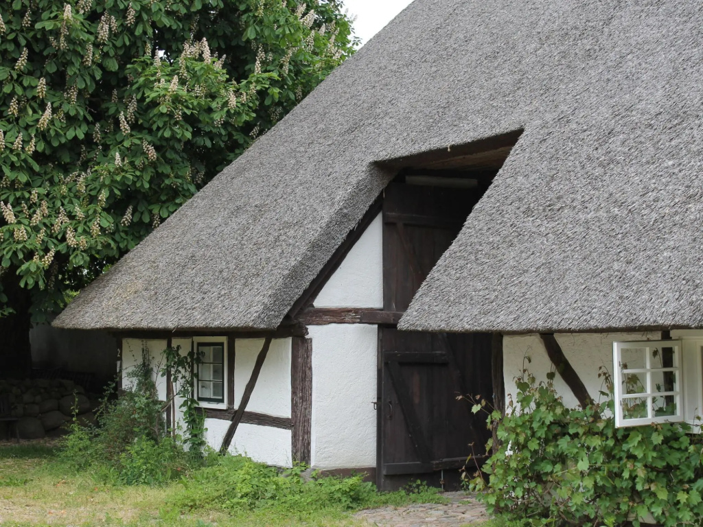 Ferienwohnung in Reddelich for 4 Personen
