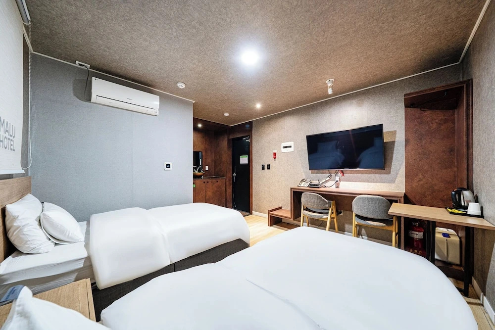 Deluxe Double room with city view (twin beds)