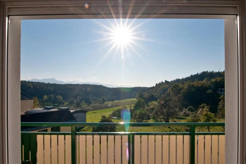Balcony & Terrace