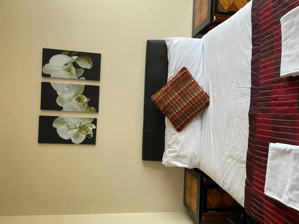 Superior Double room (full double bed)