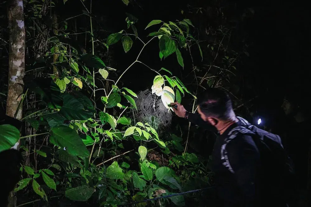 Miss Miriam Beachfront Cabins - фото 16