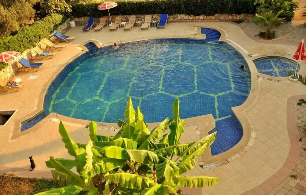 Hotel photo 10