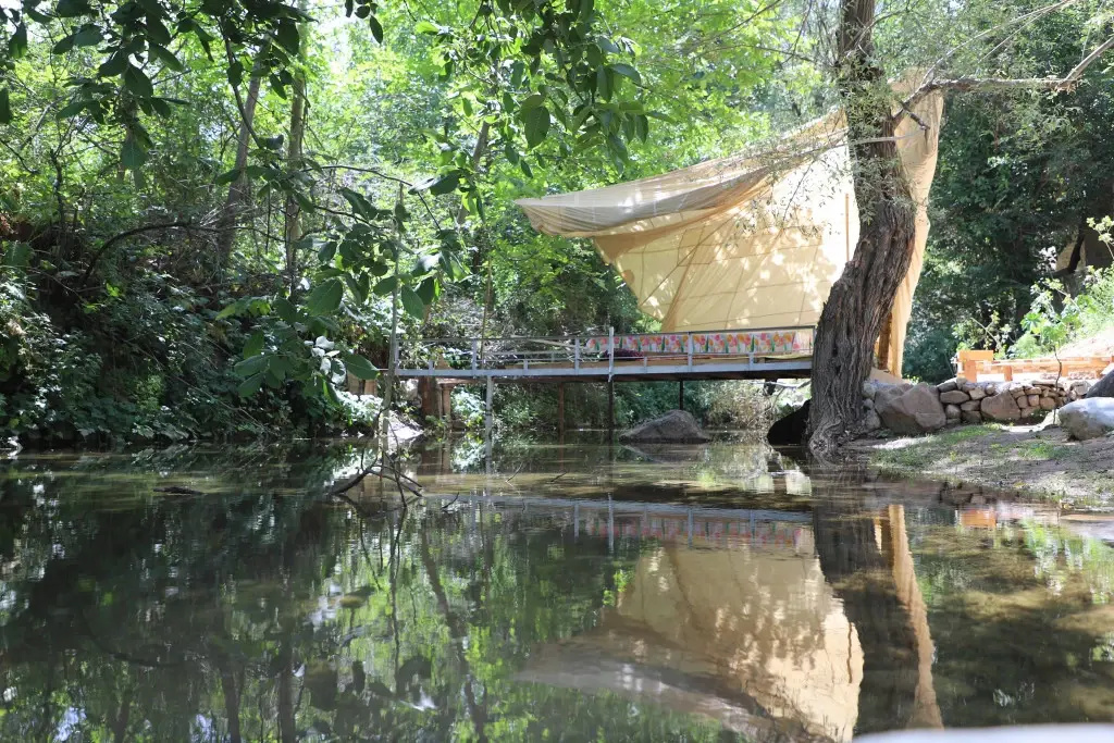 Forest Guest house